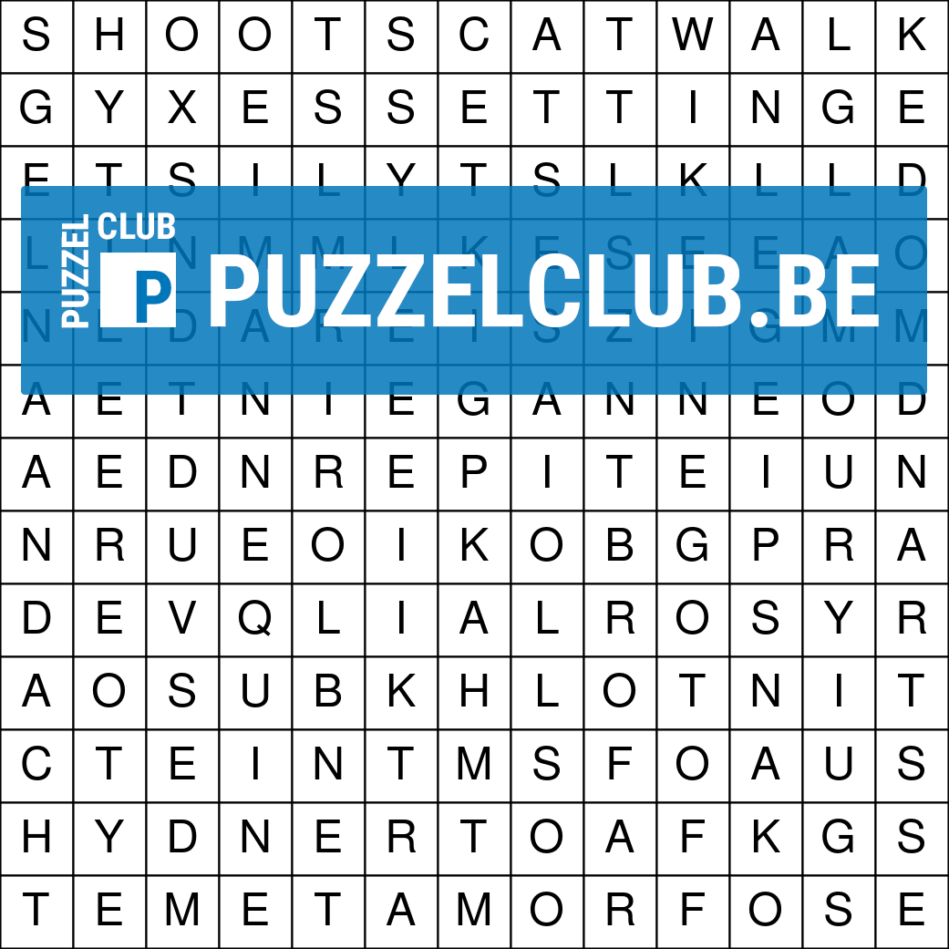 Woordzoeker