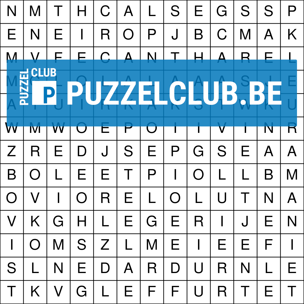 Woordzoeker